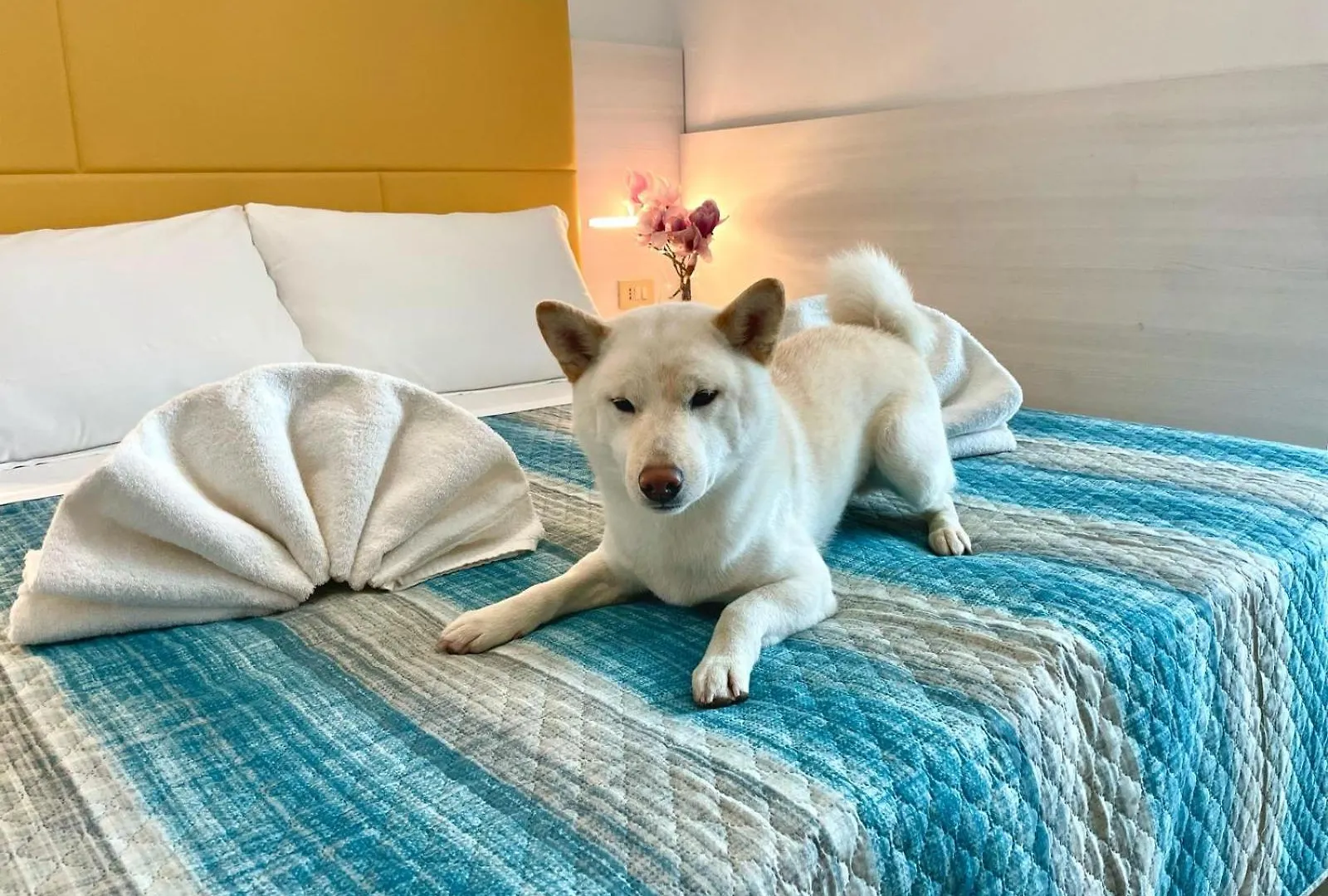 Hotel Crystal